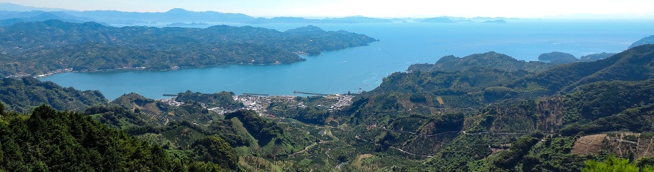 愛媛県宇和島市吉田町法花津峠からの玉津地区の風景